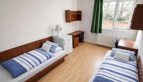 Standard Double Room with Fan