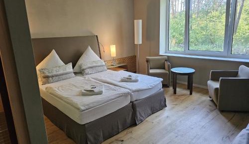 Double or Twin Room with Extra Bed