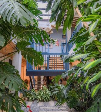 Hotel Plantación