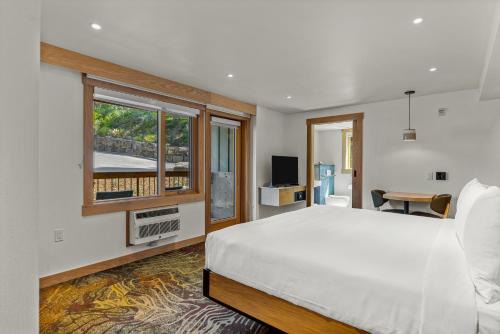 Otter Hotel